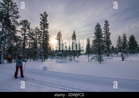 Skieur de fond glissant sur les sentiers enneigés immaculés du parc national Urho Kekkonen pendant l'heure dorée, en Laponie finlandaise Banque D'Images