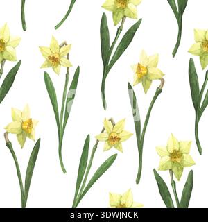 Un motif aquarelle sans couture de jonquilles jaunes peintes à la main Banque D'Images
