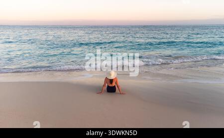 Vue en angle élevé de la femme sur la plage regardant les eaux turquoise de l'océan. Banque D'Images