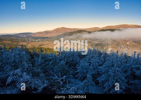 Vue aérienne de cimes d'arbres couvertes de gel de pins à l'ombre avec une toile de fond de montagne, Mt Zlatibor, chaîne de montagnes de Zlatibor, Serbie Banque D'Images