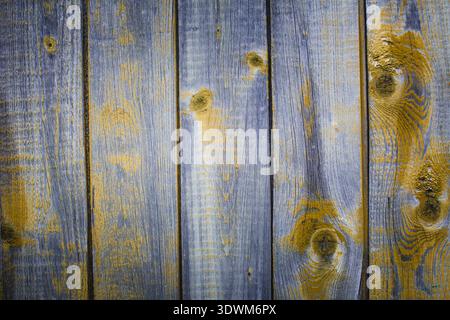 Gros plan de planches en bois altérées avec de la peinture bleu et jaune délavée, soulignant le grain, les nœuds et la texture rustique rugueuse. Banque D'Images