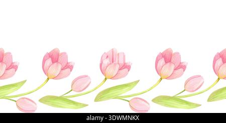 Bordure sans couture avec tulipes fraîches et délicates avec des feuilles et des bourgeons. Fleurs roses printanières peintes à la main à l'aquarelle. Banque D'Images