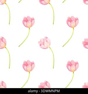 Motif sans couture avec tulipes fraîches. Fleurs roses printanières dessinées à la main à l'aquarelle. Banque D'Images