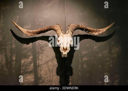 Espagne, Navarre, Zugarramurdi, Musée de la sorcière (Museo de las Brujas), cornes de chèvre Banque D'Images
