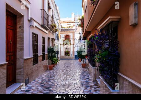 Rue étroite dans la vieille ville. Coín, Málaga, Andalucía, Espagne, Europe Banque D'Images