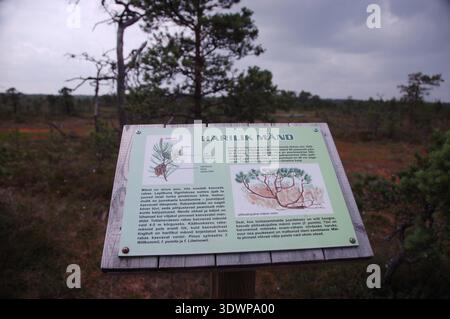 Panneau d'information pédagogique sur la végétation des zones humides dans une réserve naturelle estonienne, situé dans un paysage de tourbières avec des pins et des marais ouverts Banque D'Images