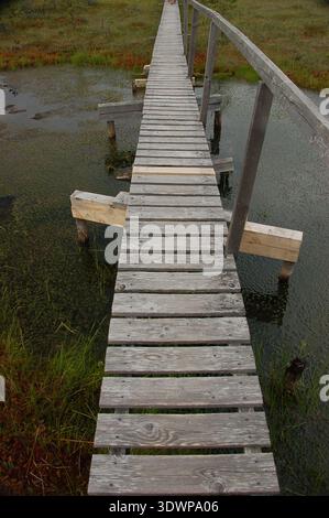 Promenade en bois au-dessus d'un lac de tourbière en Estonie, s'étendant à travers un paysage de zones humides avec de l'eau calme et des marais ouverts sous un ciel nuageux Banque D'Images
