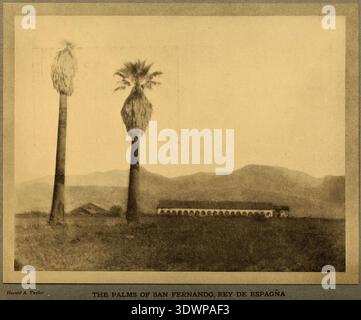 Cette photographie antique datant d'avant 1913, capturée par Harold A. Taylor, représente « les palmiers de San Fernando Rey de España ». La scène montre deux grands palmiers au premier plan avec un bâtiment avec une rangée d'arches et des montagnes lointaines sous un ciel brumeux. Banque D'Images