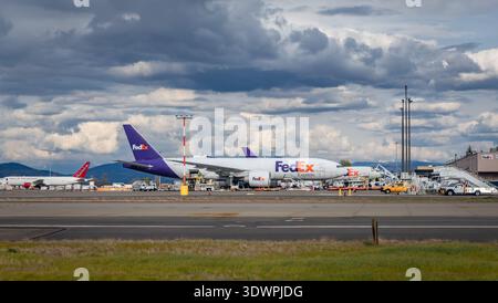 Seattle, Washington - 28 avril 2022 : FedEx Express Boeing 777 cargo sur l'aire de trafic avec équipement de soutien au sol à l'aéroport de Seattle Tacoma Banque D'Images