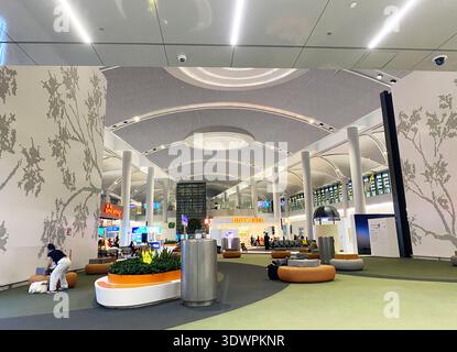 Istanbul, Turquie - 20 octobre 2025 : spacieuse zone de départ de l'aéroport avec sièges modernes, plantes décoratives et displa d'information de vol illuminée Banque D'Images