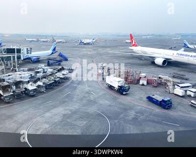 Istanbul, Turquie - 20 octobre 2025 : avions stationnés dans un terminal d'aéroport avec des véhicules de service au sol et des conteneurs de fret sur le tarmac dans le Banque D'Images