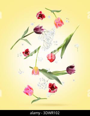 Tulipes et gypsophila tombant sur fond dégradé jaune. Fleurs printanières Banque D'Images