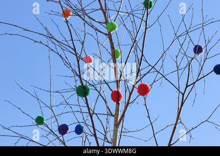Décorations de festival de printemps avec pompons colorés et rubans sur des branches de bouleau en extérieur. Banque D'Images