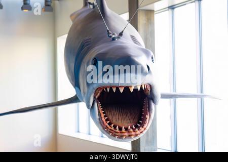 Los Angeles, CA, États-Unis - 01 décembre 2025 : modèle emblématique de grand requin blanc suspendu au-dessus de l'entrée du musée du cinéma Banque D'Images