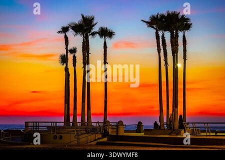 Couleurs vibrantes de coucher de soleil avec des palmiers le long de Los Angeles Beach en Californie Banque D'Images