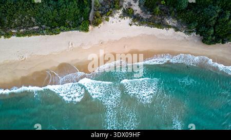 Superbe prise de vue par drone descendante capturant l'intersection de sable doré et de vagues mousseuses d'une mer turquoise cristalline. Dense, vert vif côtier Banque D'Images