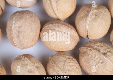 Gros plan des noix dans des coques regroupées comme affichage sur des coques mates à surface neutre avec de la poussière naturelle et de fines fissures, sensation macro de détail élevé, idéal pour ma Banque D'Images