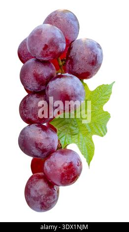 Un bouquet de raisins rouges mûrs doux avec des feuilles vertes est isolé sur fond blanc avec un chemin de découpage. Banque D'Images