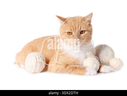 Chat gingembre mignon avec des boules de fil sur fond blanc Banque D'Images