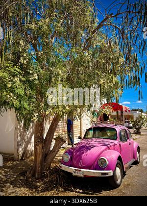 Old Volkswagen Beetle , Merida , Mexique Banque D'Images