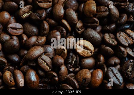 Une image détaillée en gros plan présentant un riche assortiment de grains de café torréfiés foncés. La texture et la brillance des haricots transmettent la fraîcheur et le fl robuste Banque D'Images