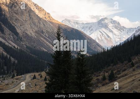Un chemin de terre sinueux serpente à travers une vallée alpine entourée de forêts de pins luxuriantes et de montagnes enneigées au Kirghizistan, capturant le pittoresque lan Banque D'Images