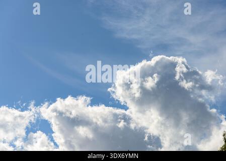 Cumulus nuages blancs bofies imposants dans un fond de ciel bleu clair Banque D'Images