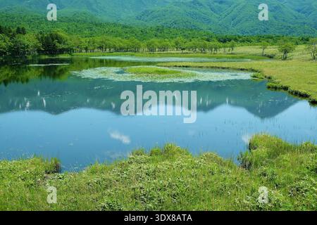 Shiretoko cinq lacs, chaîne de montagnes Shiretoko reflétée dans Shiretoko Ichiko, site du patrimoine mondial Shiretoko, juin Banque D'Images