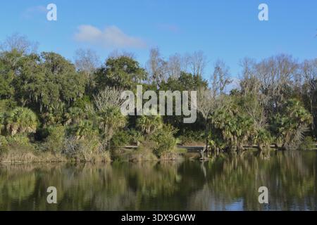 Reflet du rivage à Kathryn Abbey Hanna Park, comté de Duval, Jacksonville, Floride Banque D'Images