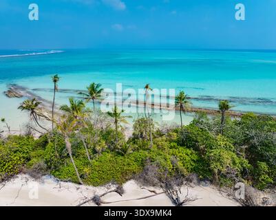 Vue aérienne de l'île tropicale bordée d'eaux turquoises et de récifs coralliens, un paradis serein sous le ciel bleu clair, Hoarafushi, Thiladhunmathe Banque D'Images