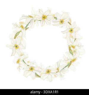Couronne d'aquarelle de jonquilles blanches florissantes sur fond isolé. Fleurs de narcisse printanières dessinées à la main avec des pétales délicats et des centres de trompette. Banque D'Images