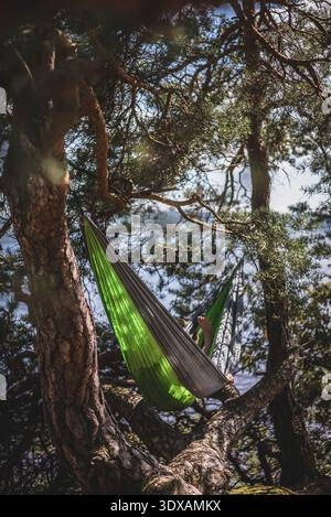 Vue d'angle bas de la fille couchée dans un hamac à l'arbre Banque D'Images