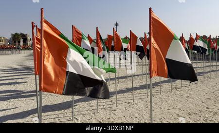Drapeaux nationaux des Émirats arabes Unis plantés dans le sable, agitant sur la plage lors d'un événement annuel célébrant le jour du drapeau des Émirats arabes Unis et le jour de l'Union. Banque D'Images