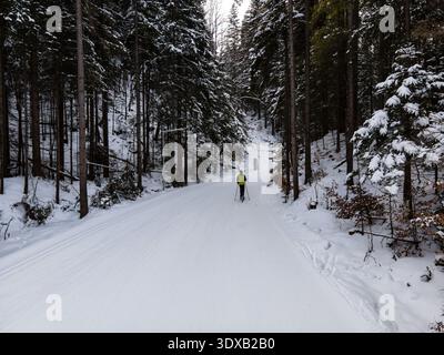 Vue aérienne d'un skieur solitaire glissant à travers un sentier enneigé creusé à travers la forêt dense et enneigée de Kuznice, Zakopane, Wojewodztwo malopolskie, Pô Banque D'Images