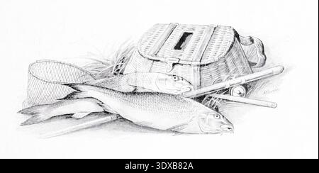 Dessin au crayon représentant une composition de nature morte avec des poissons fraîchement pêchés, un cantre de pêche classique en osier, un filet d'atterrissage et des cannes à pêche, symbolisant la pêche à la ligne comme activité récréative des sports du monde, avec des illustrations tirées de dessins et de photographies d'Aflalo, Frederick G. (Frederick George), 1870-1918 date de publication 1905 Banque D'Images