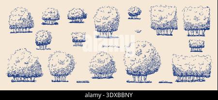 Arbre, haie de jardin esquisse stylo à encre bleue ensemble. Arbustes pour un jardin ou illustration fantaisiste de parc. Arbuste et arbuste topiaire comme buis. Vecteur vintage Illustration de Vecteur
