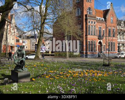 Printemps à Groningen pays-Bas, architecture historique et champ de crocus fleuri avec statue. Banque D'Images