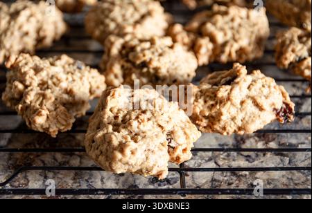 Un lot de biscuits aux raisins d'avoine fraîchement cuits reposant sur une grille de refroidissement de fil noir au-dessus d'un comptoir de granit dans un environnement de cuisine domestique. Banque D'Images