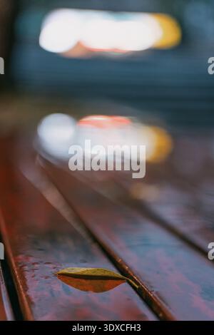 Banc en bois humide avec feuille d'automne tombée sous les lumières de la ville à Tokyo, Japon Banque D'Images