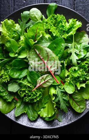 Feuilles de mélange de salade fraîches dans le bol montré en gros plan. Feuillage de salade vert vif avec texture naturelle Banque D'Images
