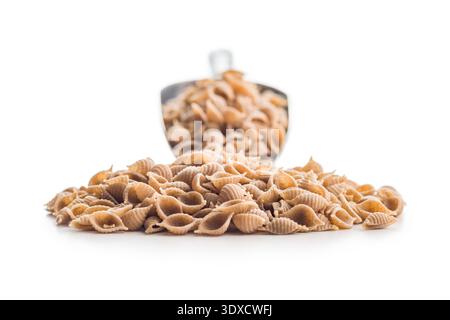Pâtes conchiglie entières isolées sur fond blanc. Banque D'Images