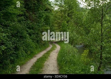Chemin de terre sinueux à travers une forêt de printemps verdoyante à côté d'un ruisseau de montagne Banque D'Images