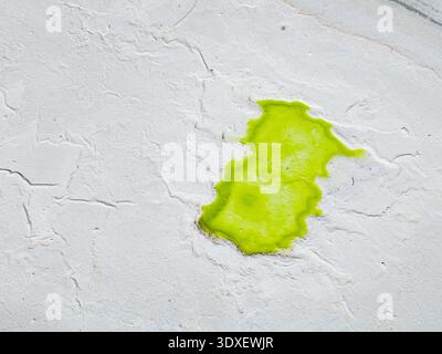 Vue aérienne d'une éclaboussure vibrante de chartreuse sur le blanc immaculé du site de la mine de potasse Old Chandler, Australie occidentale, Australie. Banque D'Images