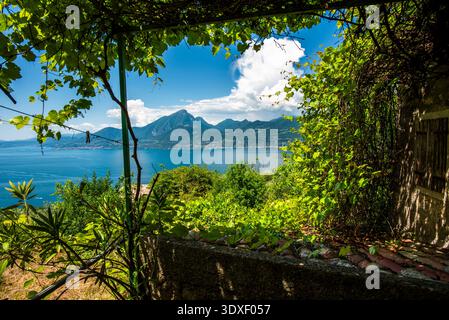 Vue sur le lac garda algo eau avec montagnes côtes du lac garda paysage du lac garda avec des montagnes et la nature près de Torri del Benaco près du lac Ga Banque D'Images