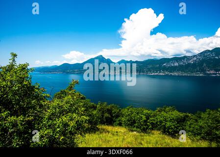 Vue sur le lac garda algo eau avec montagnes côtes du lac garda paysage du lac garda avec des montagnes et la nature près de Torri del Benaco près du lac Ga Banque D'Images