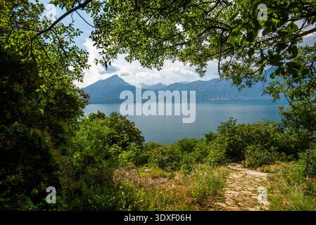 Vue sur le lac garda algo eau avec montagnes côtes du lac garda paysage du lac garda avec des montagnes et la nature près de Torri del Benaco près du lac Ga Banque D'Images