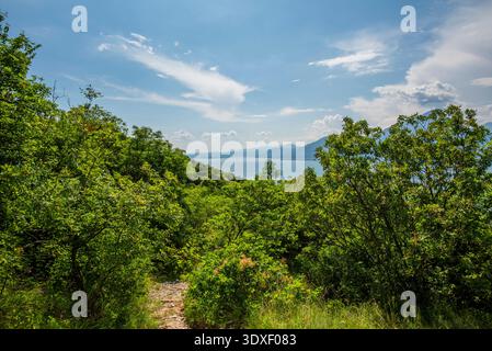 Vue sur le lac garda algo eau avec montagnes côtes du lac garda paysage du lac garda avec des montagnes et la nature près de Torri del Benaco près du lac Ga Banque D'Images