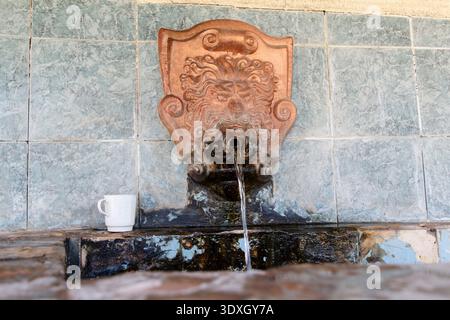 Ancienne fontaine publique ornée d'une sculpture ornée d'une tête de lion. L'eau douce de source coule dans un bassin altéré. Scène rustique avec vieilli bleu-gris t Banque D'Images