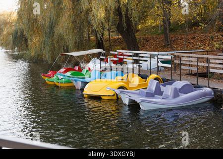 Une rangée de pédalos colorés en jaune, rouge, vert sont amarrés à une jetée en bois sur un lac calme. Le cadre du parc montre un beau feuillage d'automne, creat Banque D'Images