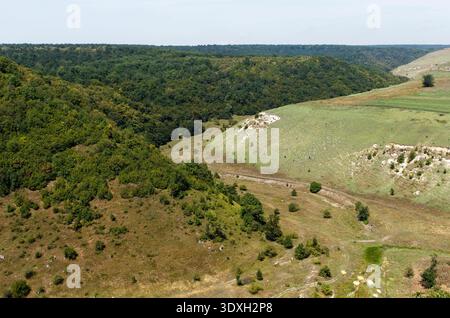 Un paysage serein, grand angle de collines ondulantes et une vallée profonde. D'un côté, la forêt verte dense recouvre la pente, tandis que l'autre présente une f herbeuse Banque D'Images
